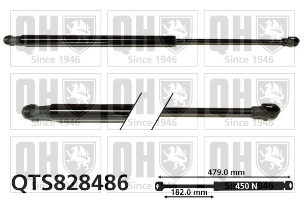 Comprar Amortiguador maletero Smart FORFOUR  453
